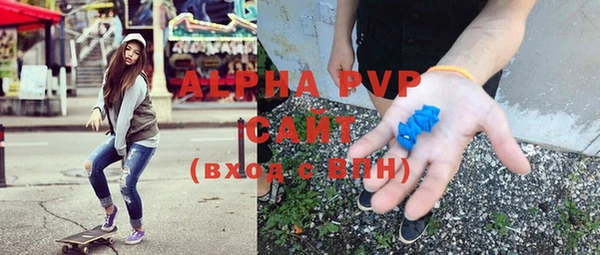 прущие грибы Балахна