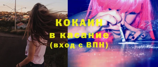 прущие грибы Балахна
