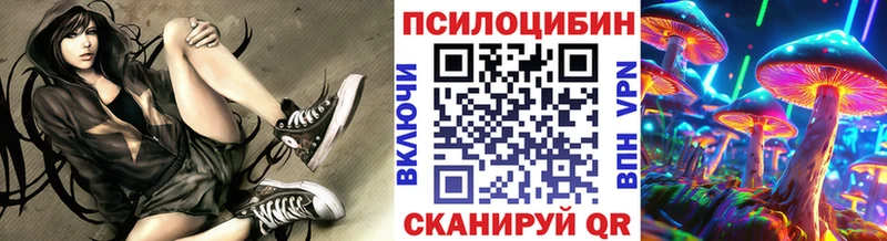 сколько стоит  Валдай  Псилоцибиновые грибы ЛСД 